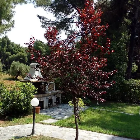 Sithonia Alekos Luxury Experience Apartment