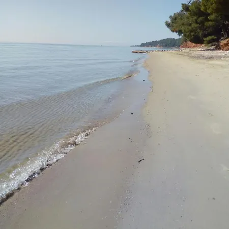 Sithonia Alekos Luxury Experience